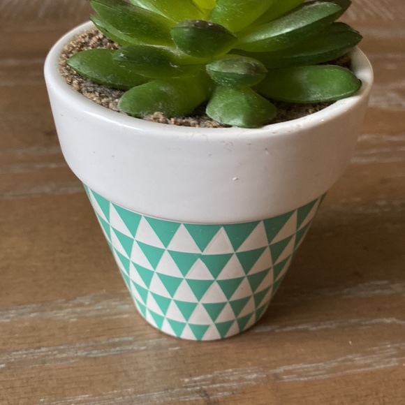 Fake Green Succulent Plant - Picture 4 of 5